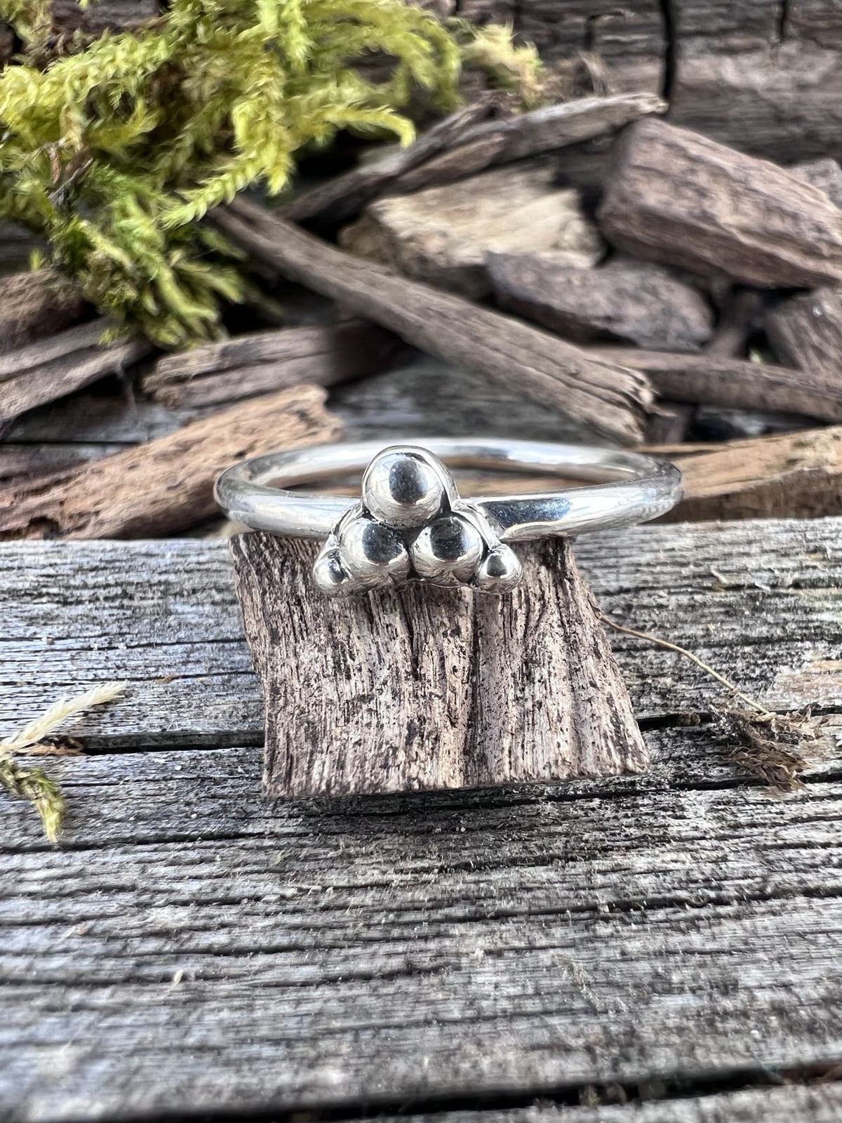 Recycled sterling silver triple granule ring on mossy driftwood, handmade Isle of Wight jewellery