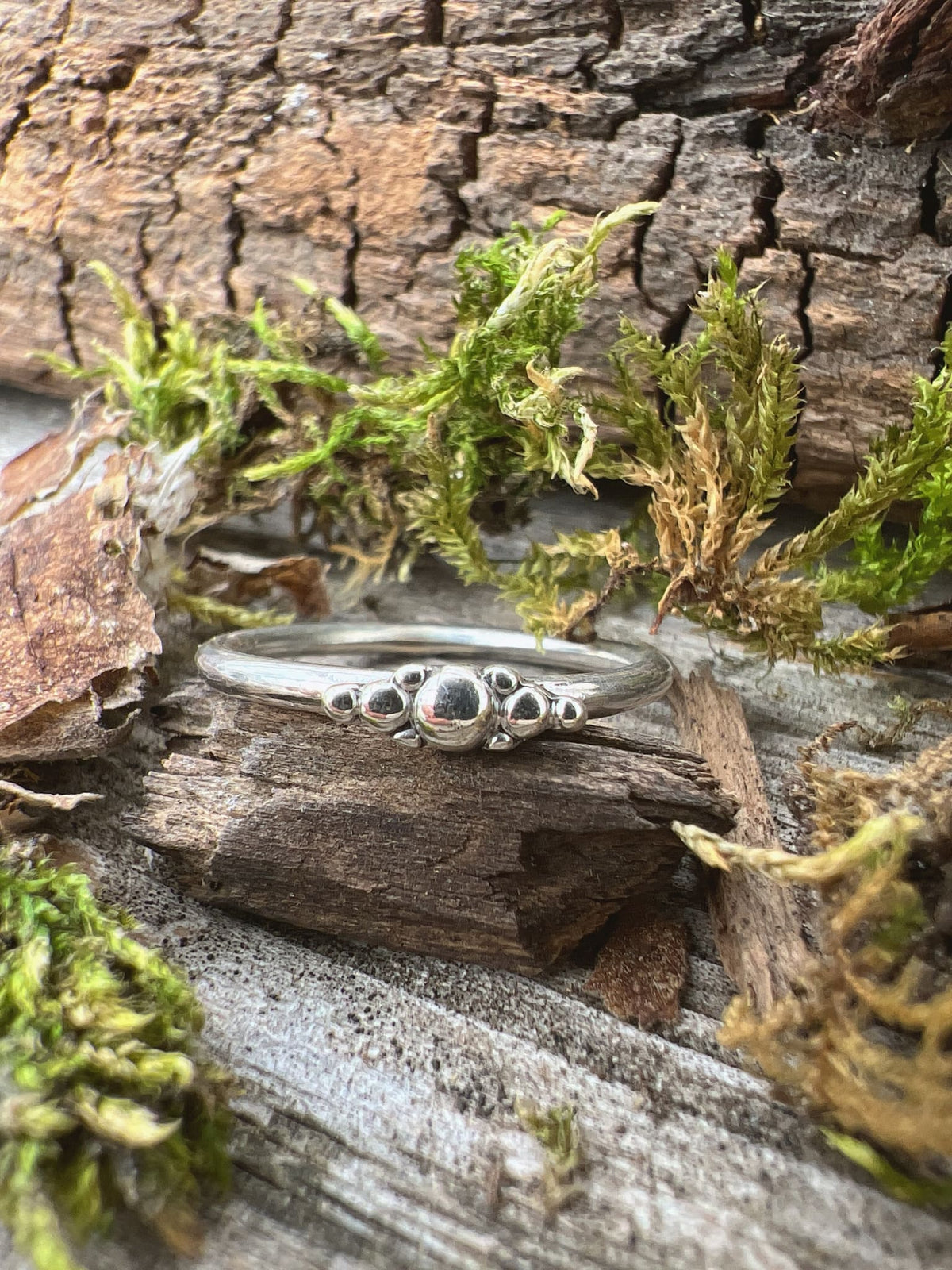 Recycled sterling silver granule row ring on mossy driftwood, handmade Isle of Wight jewellery